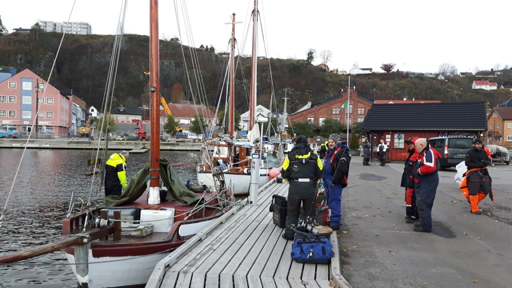 Utror på Pigghåfestivalen